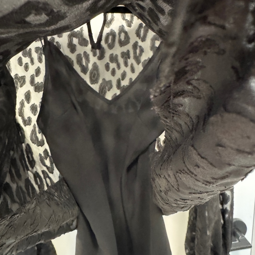 Express Black Sheer Leopard-Texture Long Sleeve B… - image 6